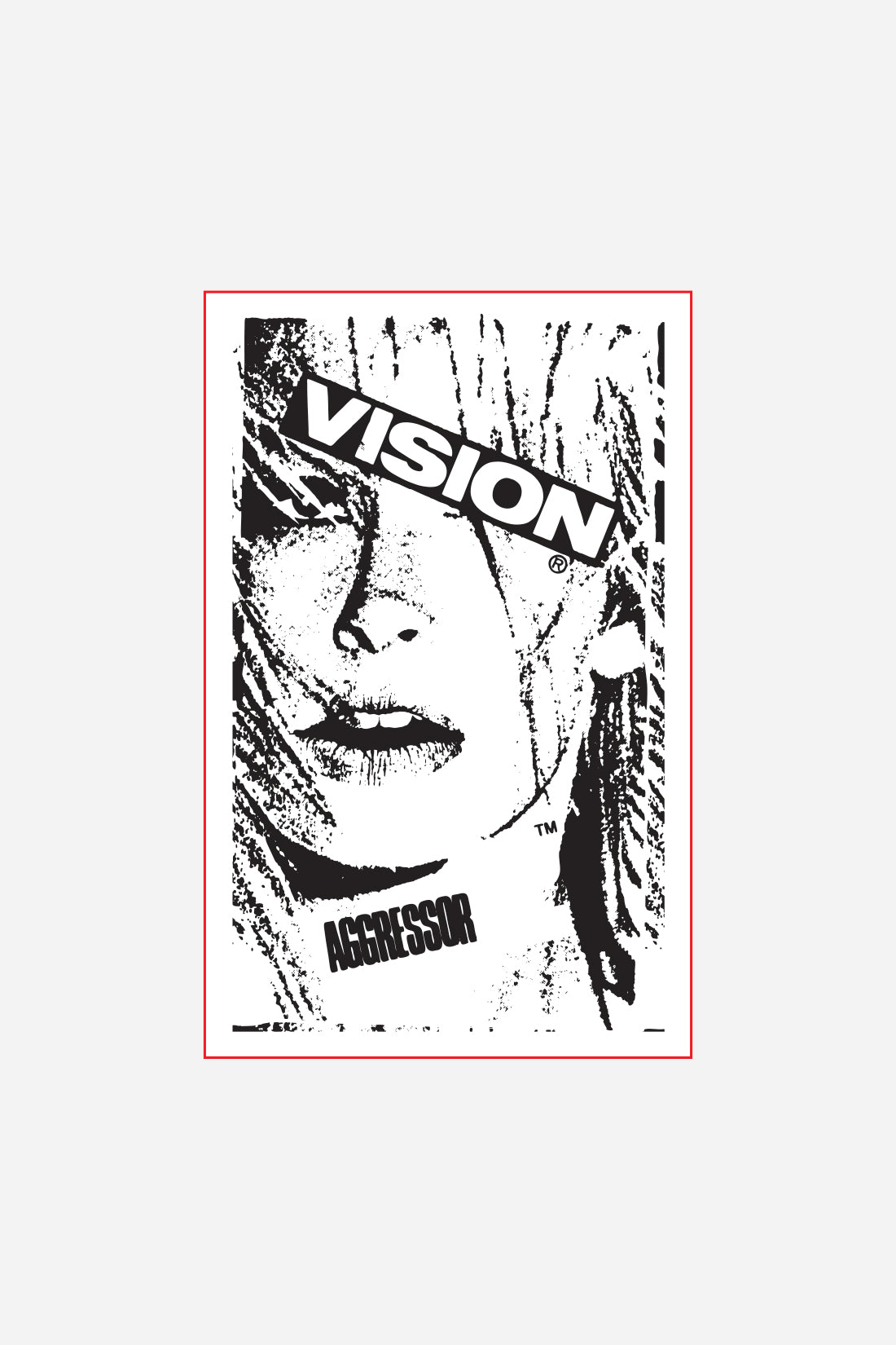 Vision Street Wear Skateboard Stickers